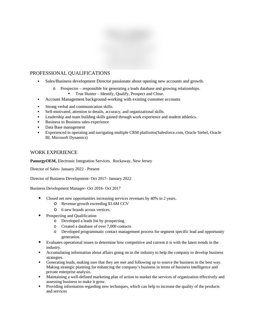 Blurred sample director-level résumé for a sales & business development client